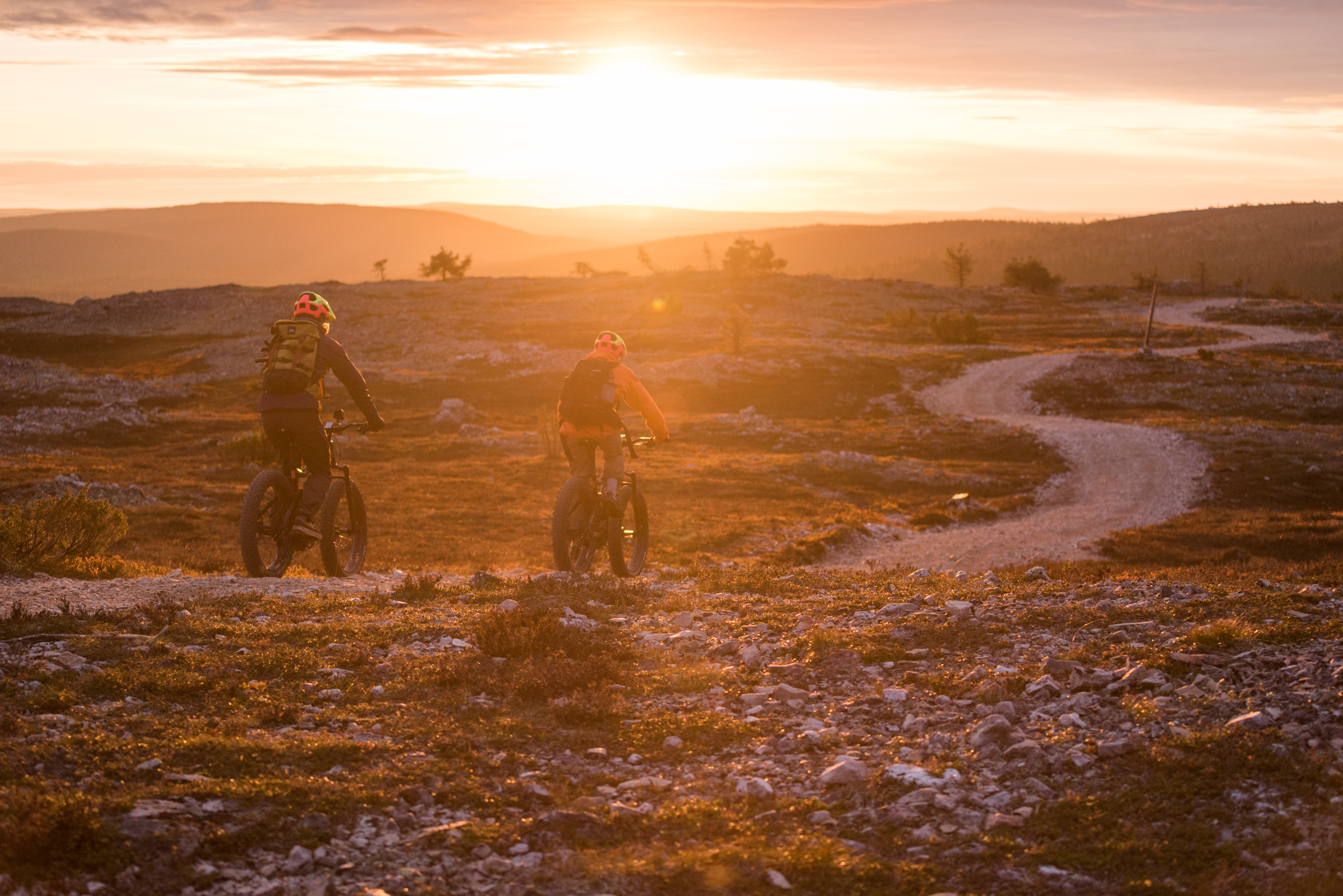 <h2 class="color-brand">Ylläs</h2><p>Ylläs is known for its vast national park landscapes and peaceful wilderness. Summer and autumn are ideal for hiking, mountain biking, canoeing, and spotting the Northern Lights as early as autumn. It’s a perfect destination for authentic nature experiences and outdoor exploration. <br><span style="font-size: 12px;" data-mce-style="font-size: 12px;">© Visit Ylläs</span></p>
